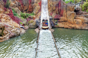 Splash Mountain Personal Injury Accident